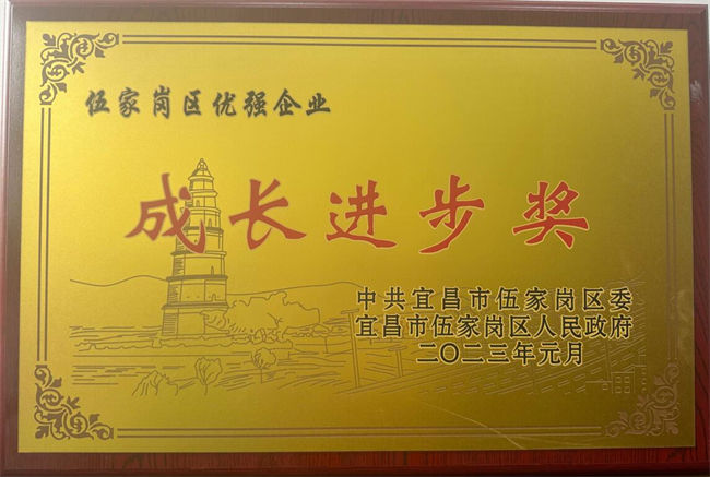 公司荣获伍家岗区2022年度“优强企业成长进步奖”